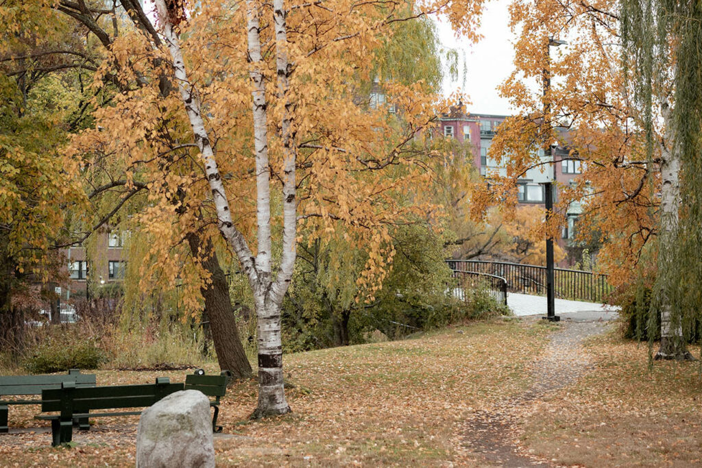 charles river esplanade boston