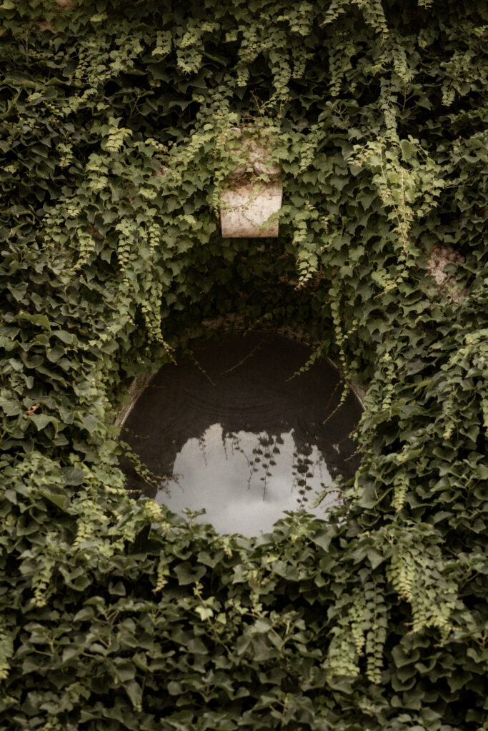 mariage au chateau de puech haut