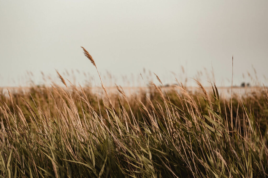 french south destination wedding photographer