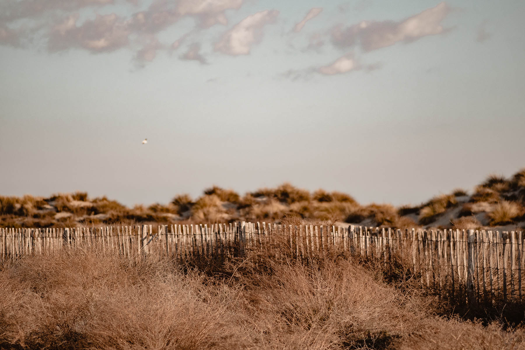 idees-de-spots-photo-autour-de-montpellier