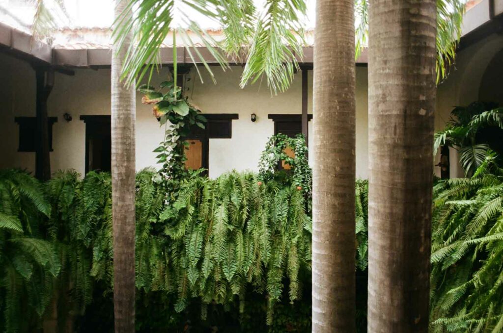 photographe argentique nature