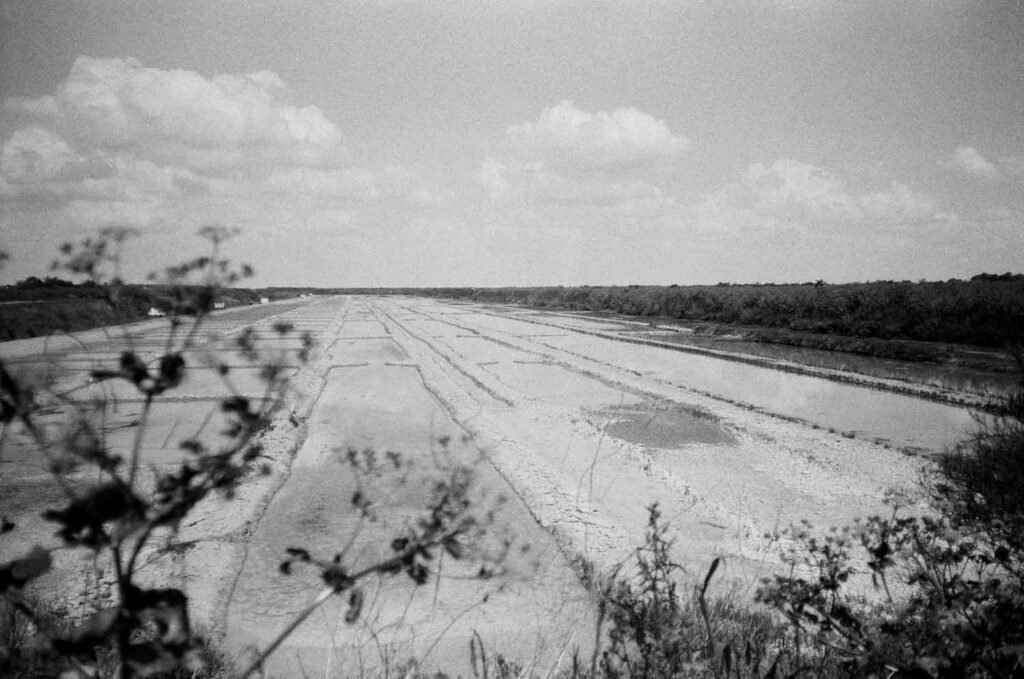 photographe argentique nature