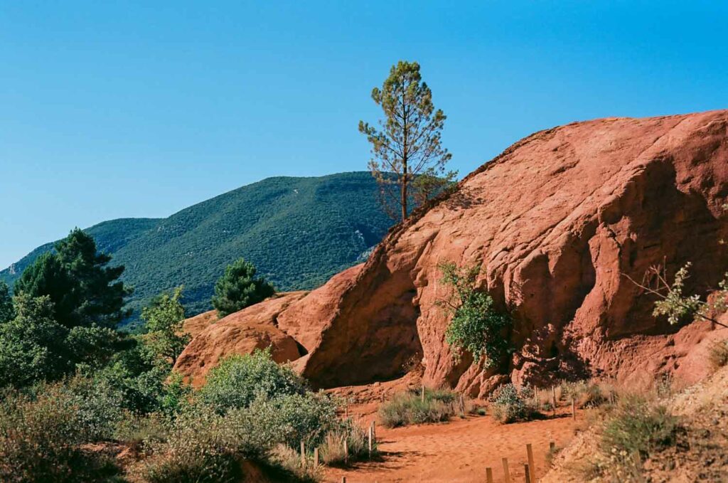 photographe argentique nature