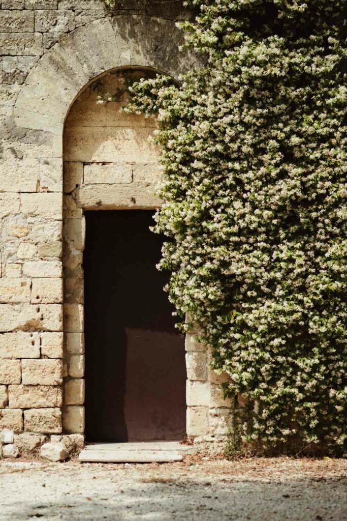 photographe mariage gard provence
