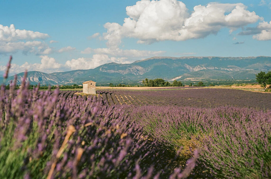 reportage photo argentique montpellier