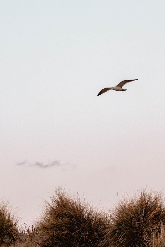 Photographe shooting couple à la plage à Montpellier.