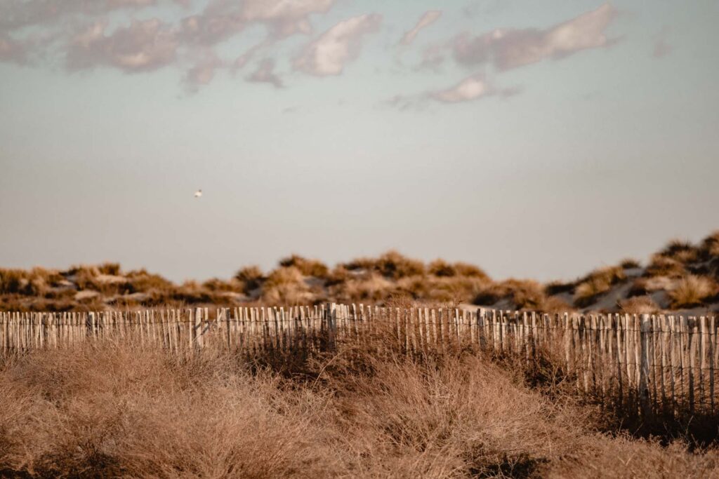 Photographe shooting couple à la plage à Montpellier.