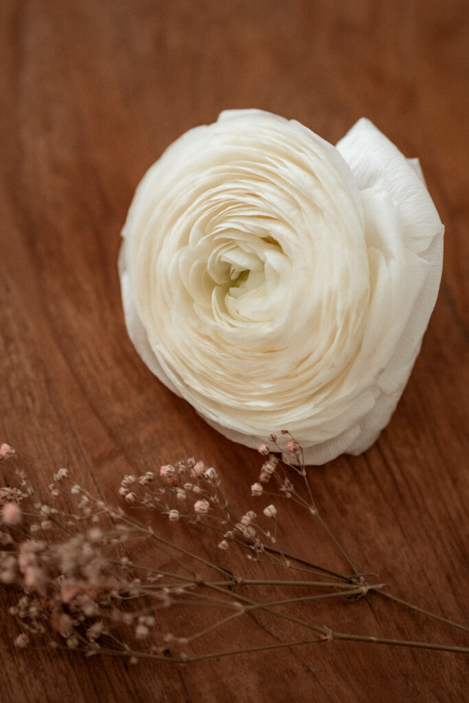 photographe mariage aude