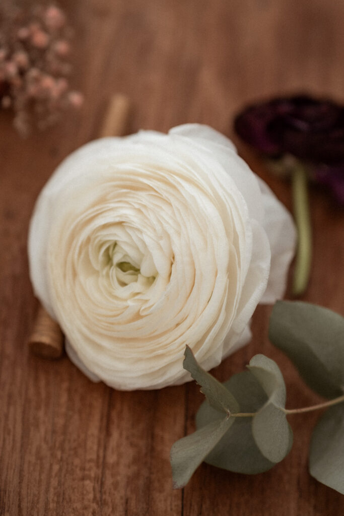 photographe mariage aude