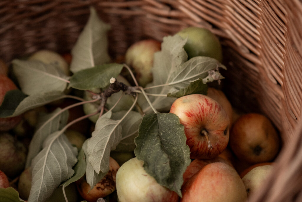 photographe mariage houlgate
