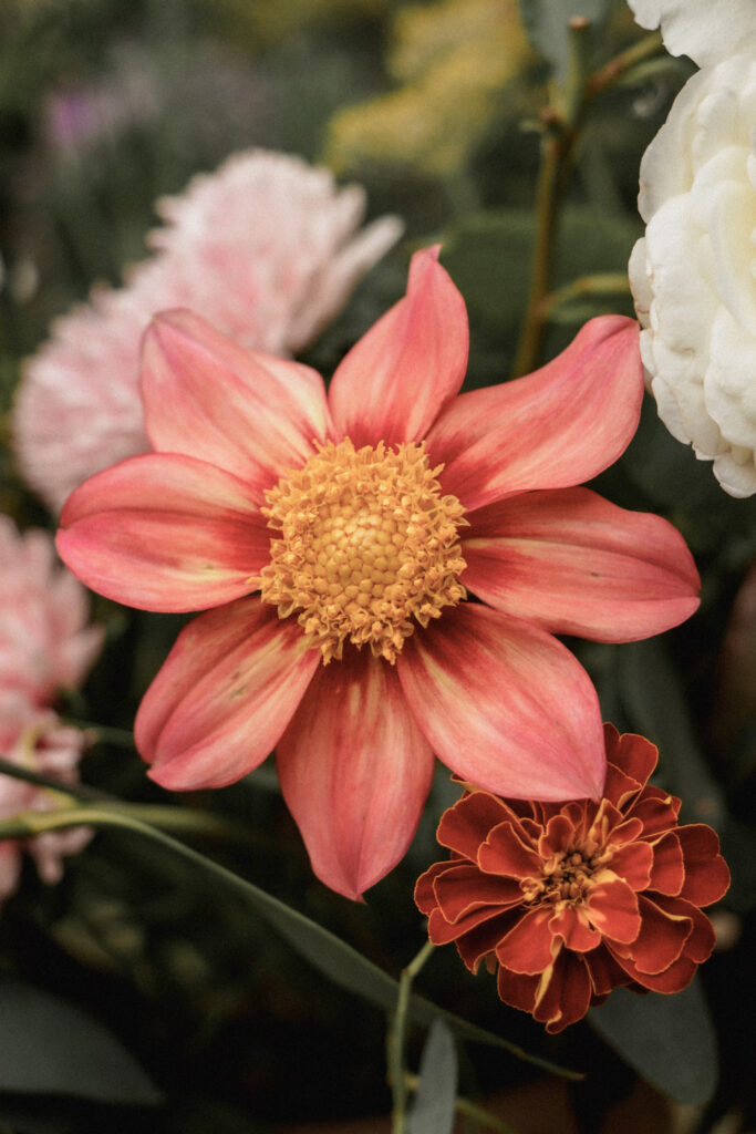 photographe manoir de chivré