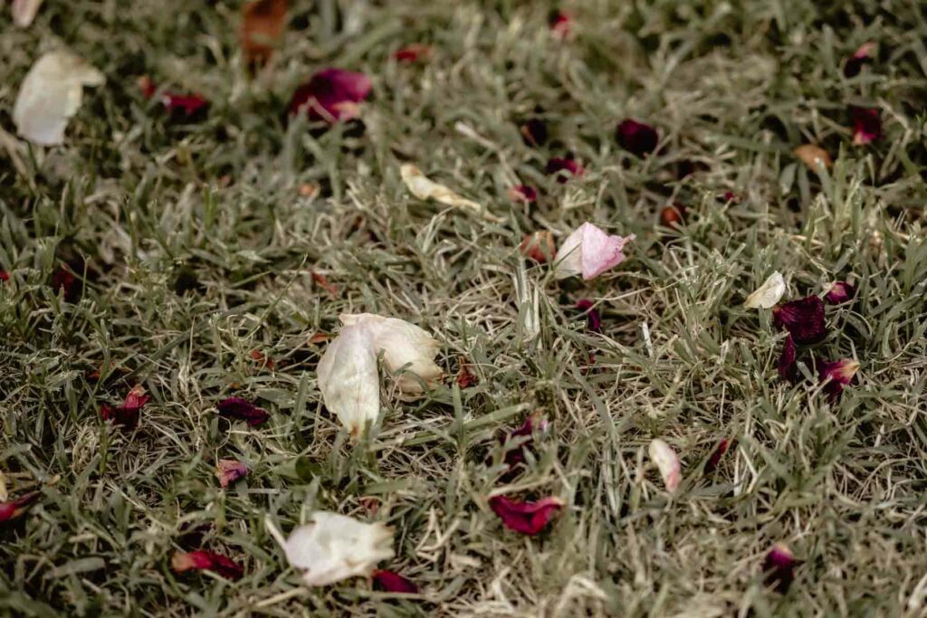 Photographe mariage style retro vintage.