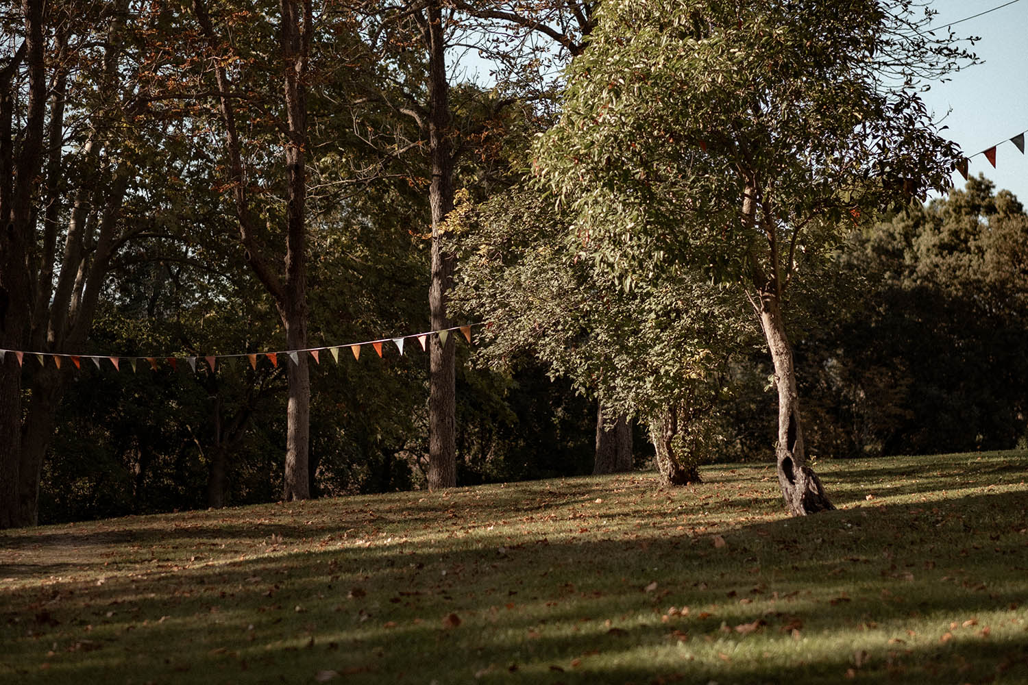 domaine saint martin de graves pézenas