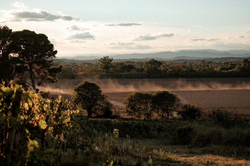 domaine saint martin de graves pézenas