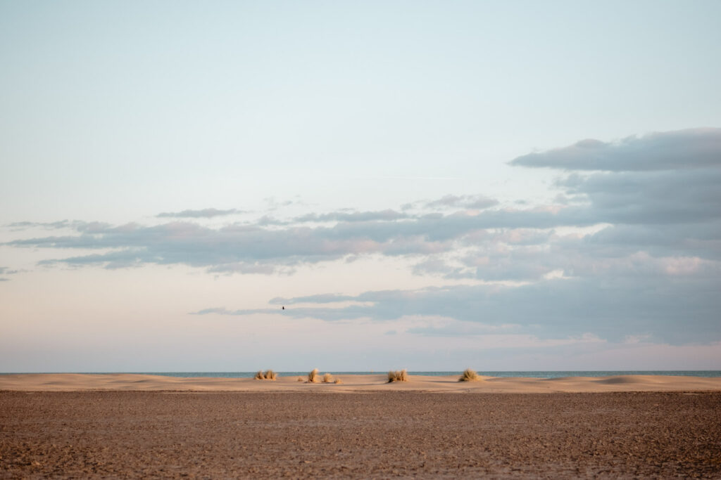 Montpellier -Séance photo couple à la plage