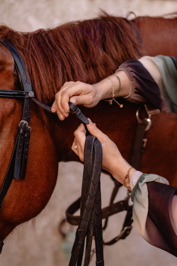 Séance photographe portrait avec cheval