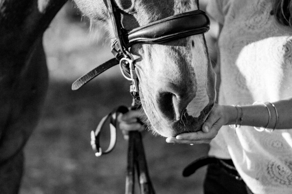 Séance photographe portrait avec cheval