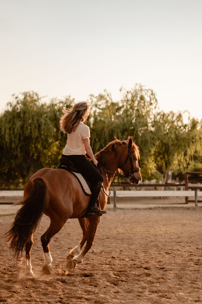 Séance photographe portrait avec cheval