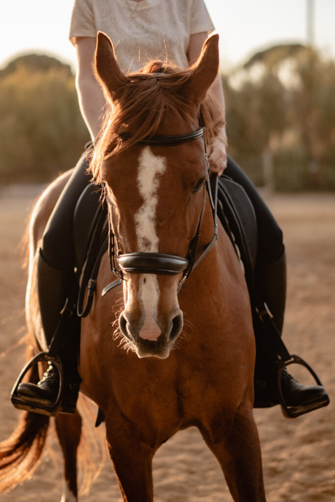 Séance photographe portrait avec cheval