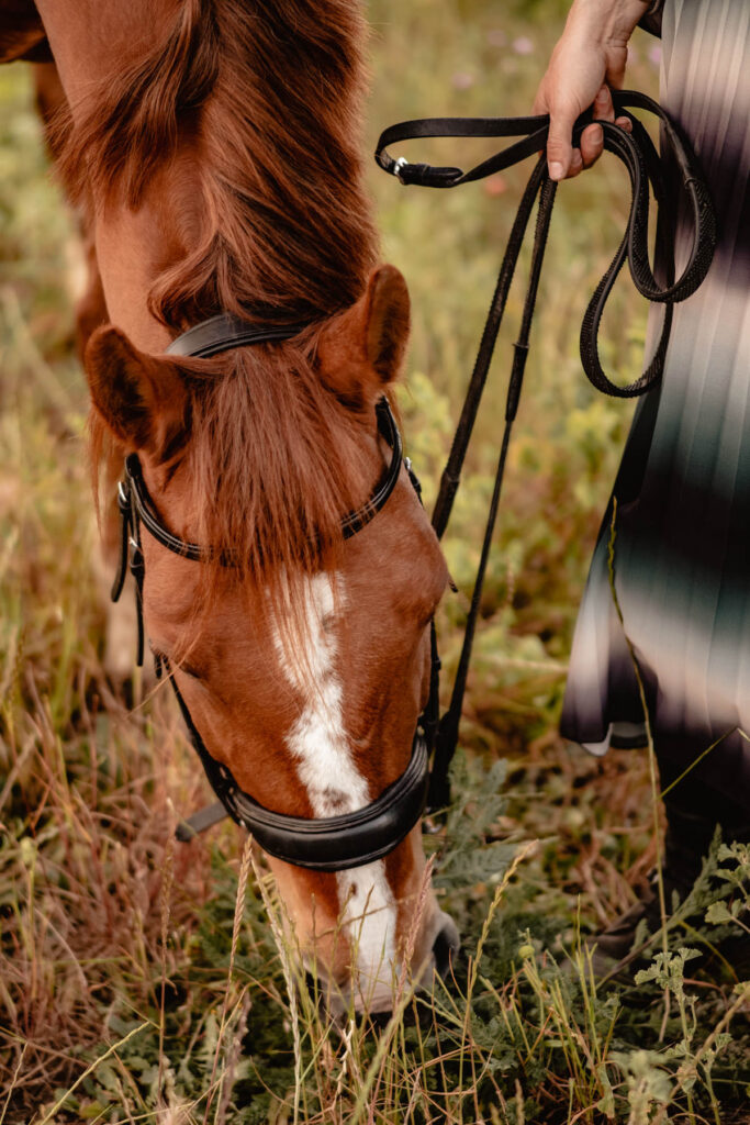 Séance photographe portrait avec cheval
