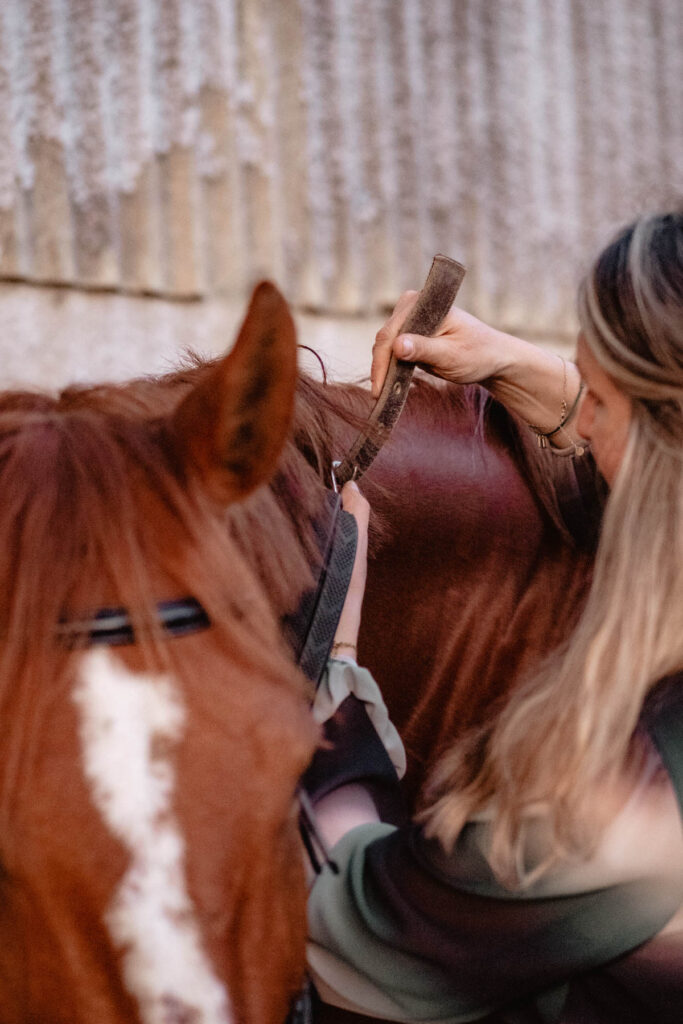 Séance photographe portrait avec cheval