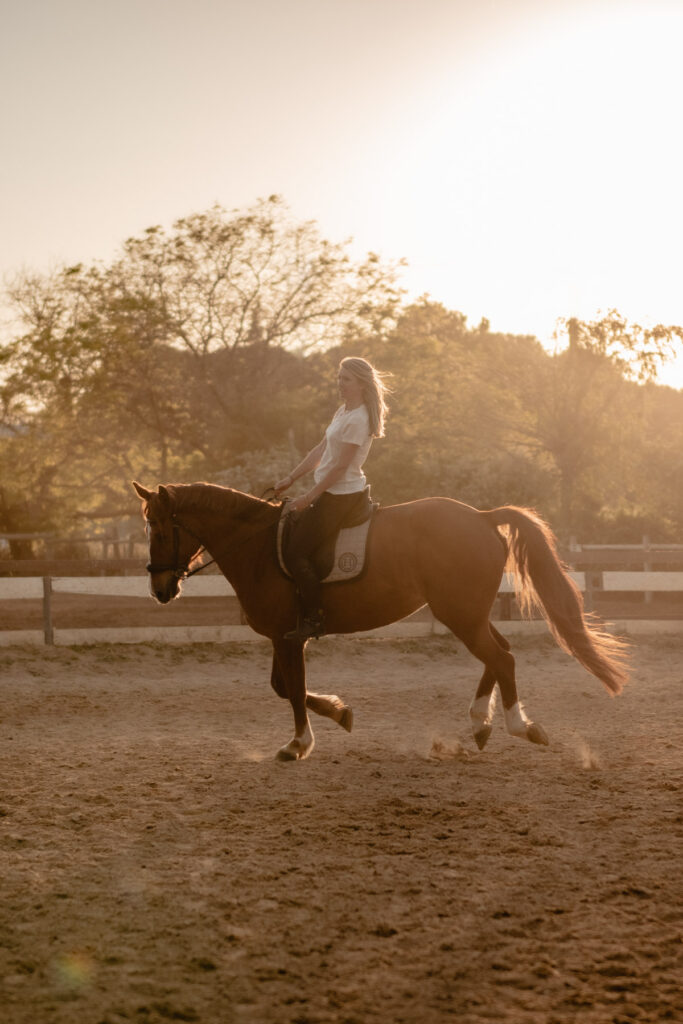 Séance photographe portrait avec cheval