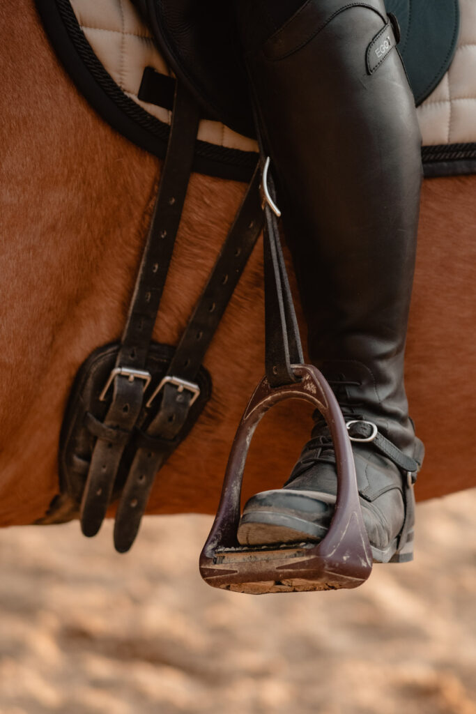 Séance photographe portrait avec cheval