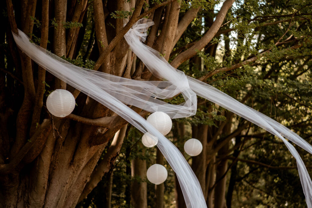 mariage végétal coloré montpellier
