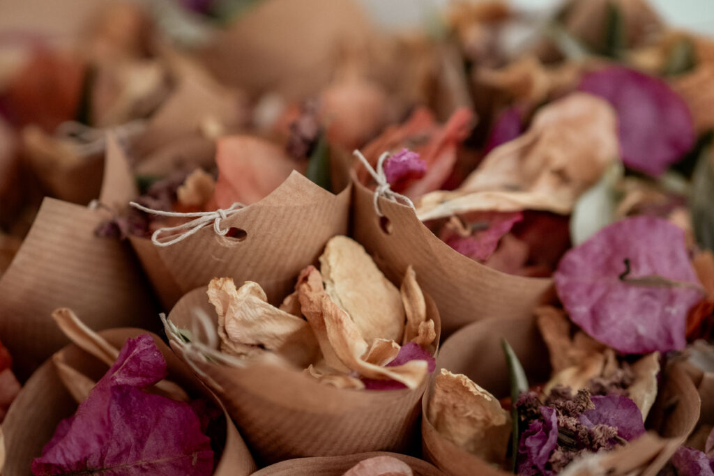 mariage végétal coloré montpellier