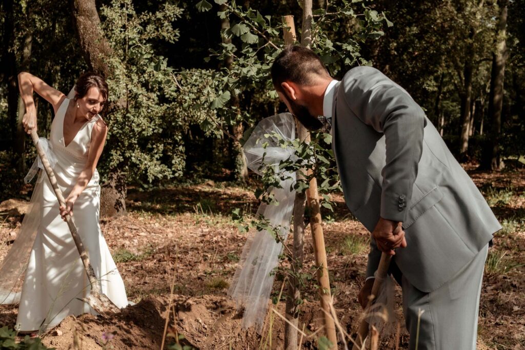 mariage végétal coloré montpellier