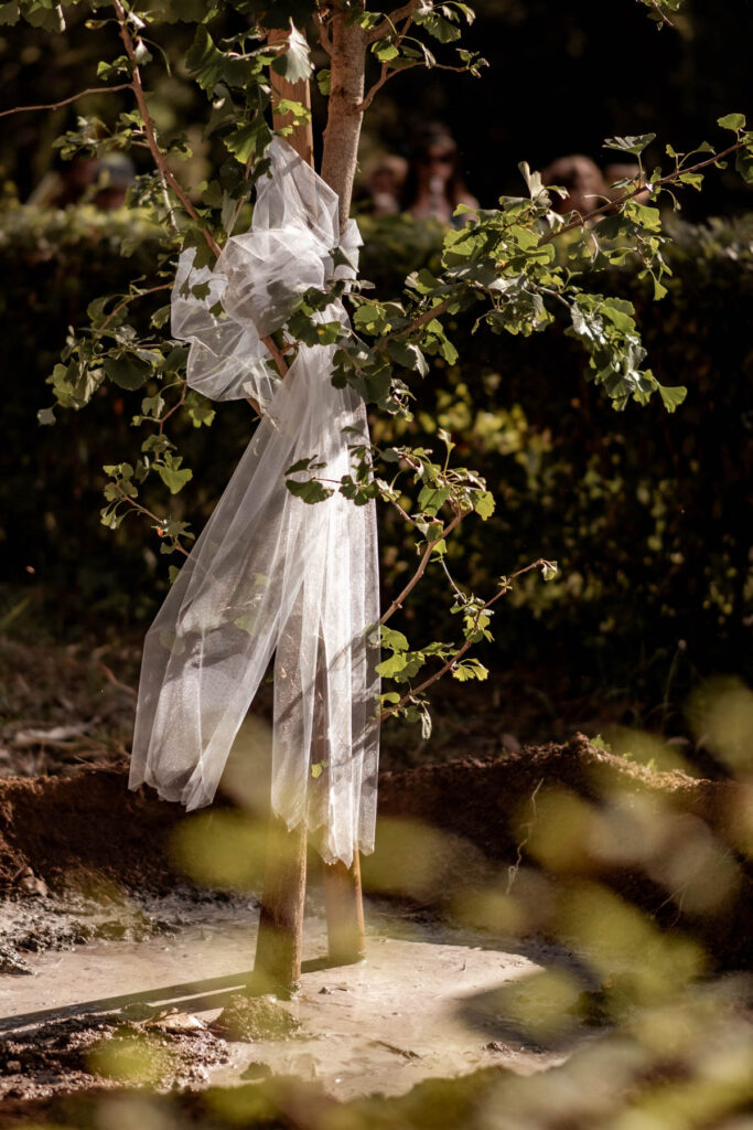 mariage végétal coloré montpellier
