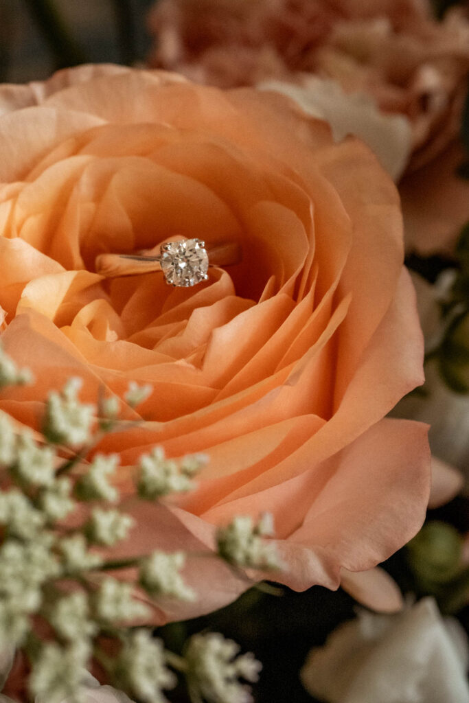 mariage végétal coloré montpellier