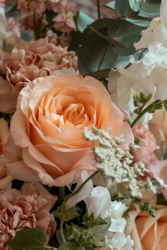 mariage végétal coloré montpellier