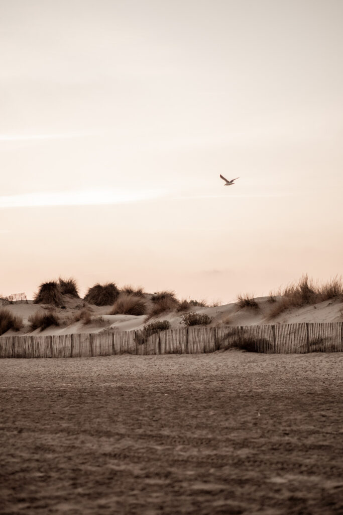 séance engagement plage petit travers