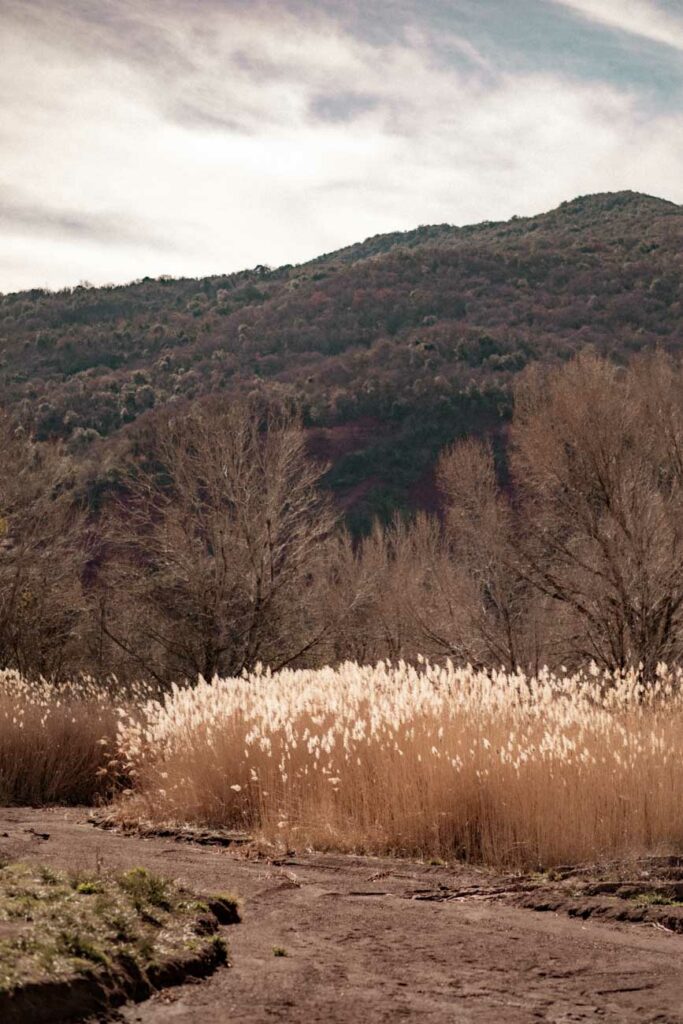 elopement boho hippie western au lac du salagou