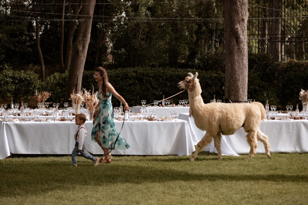 mariage chateau de sainte cecile