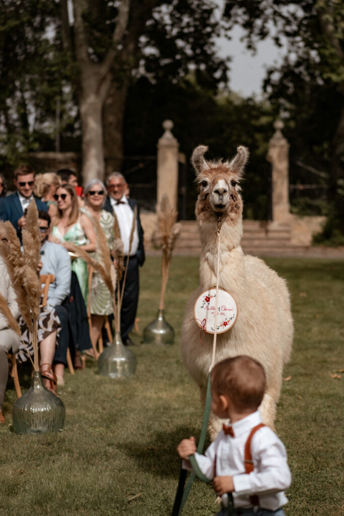 mariage chateau de sainte cecile