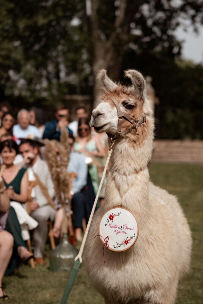 mariage chateau de sainte cecile