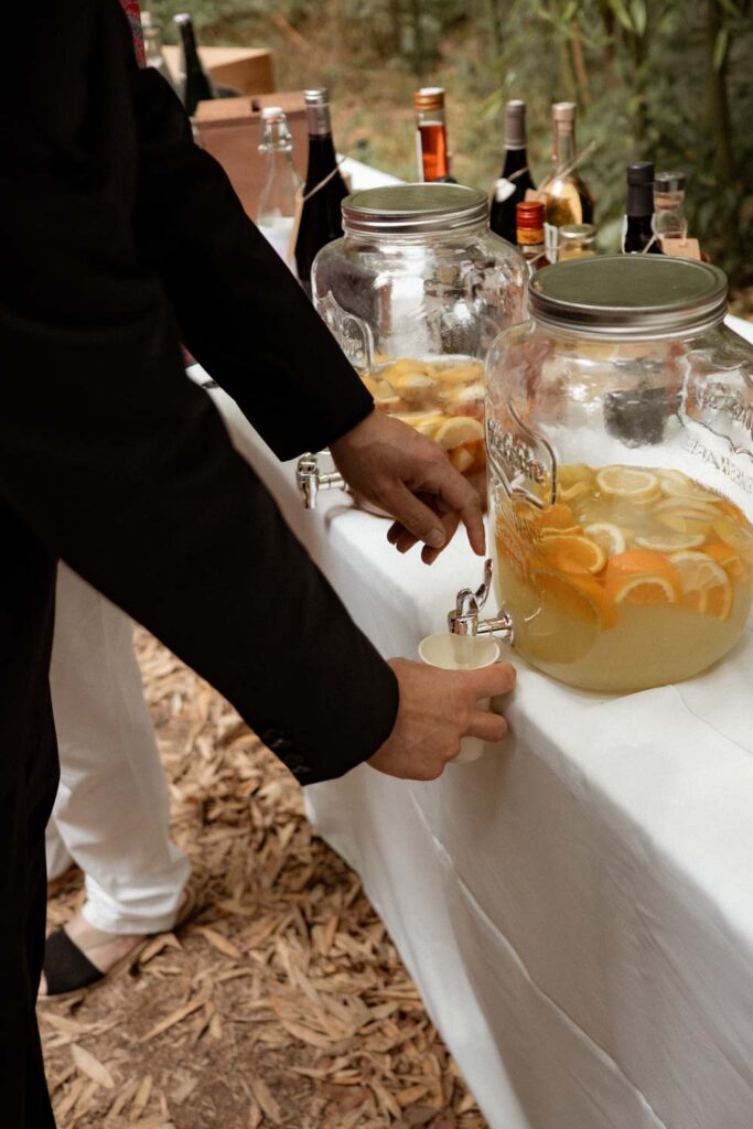 mariage au chateau de flaugergues montpellier