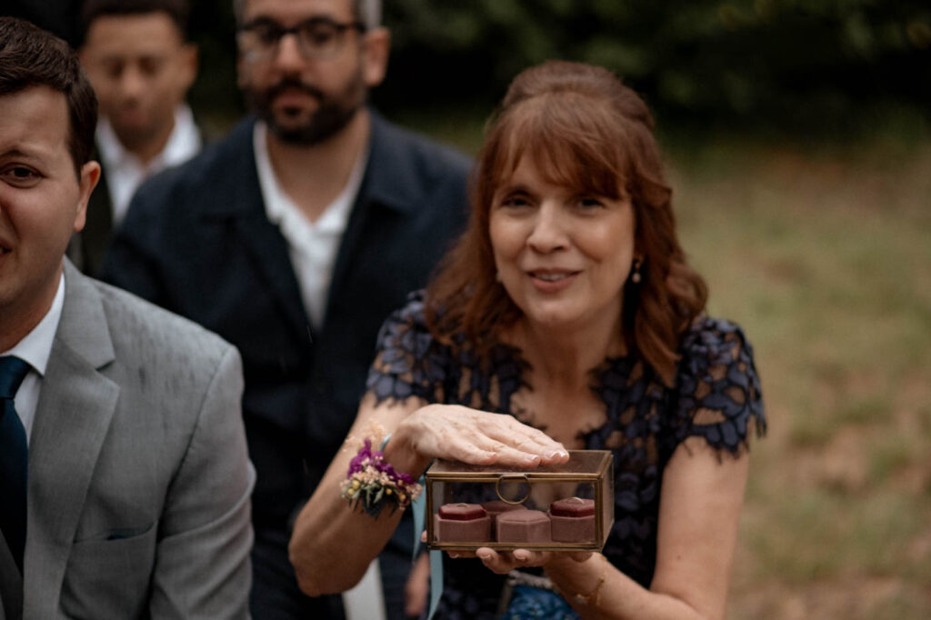 mariage chateau de flaugergues montpellier