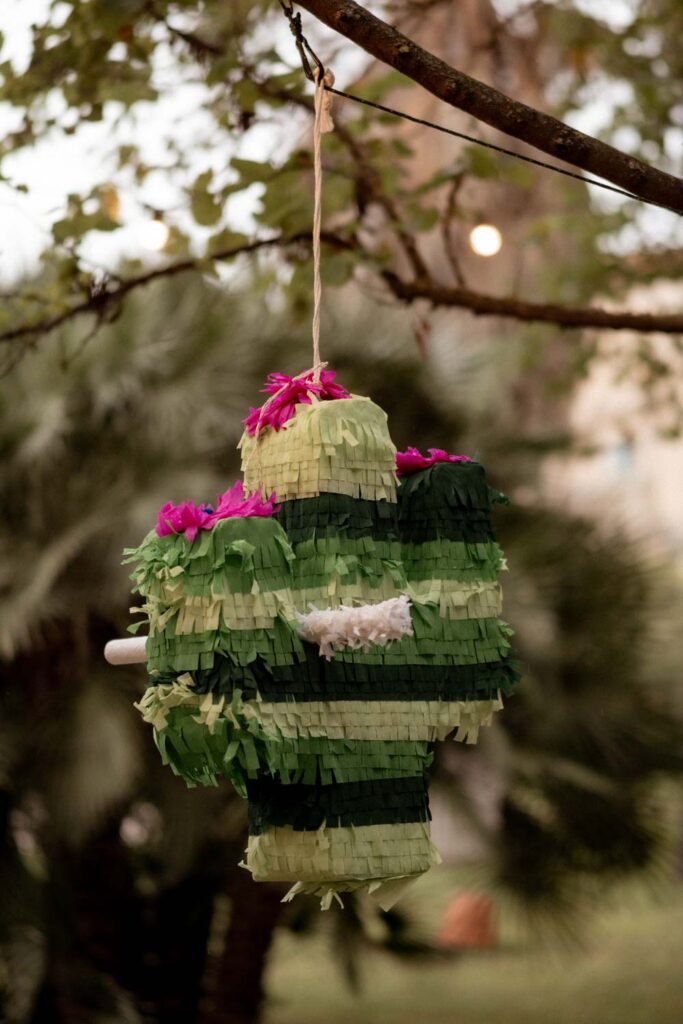 mariage chateau de flaugergues montpellier