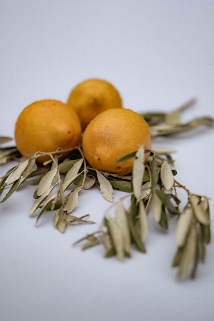 mariage chateau de flaugergues montpellier