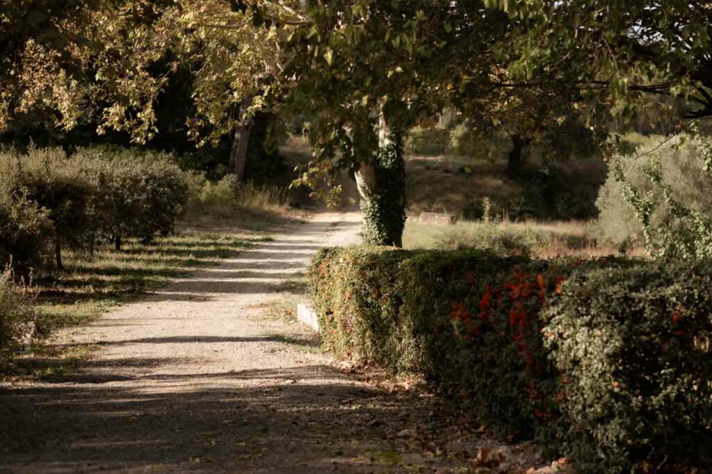 mariage automnal style wes anderson