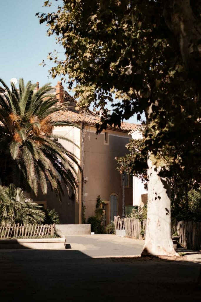 mariage automnal style wes anderson