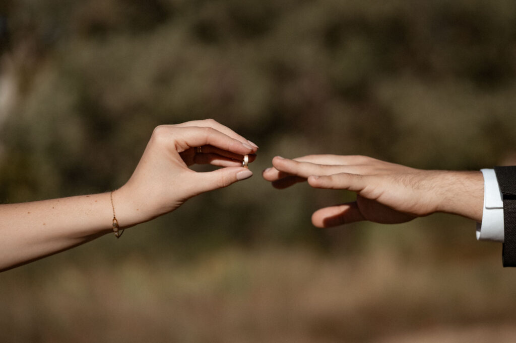 mariage automnal style wes anderson