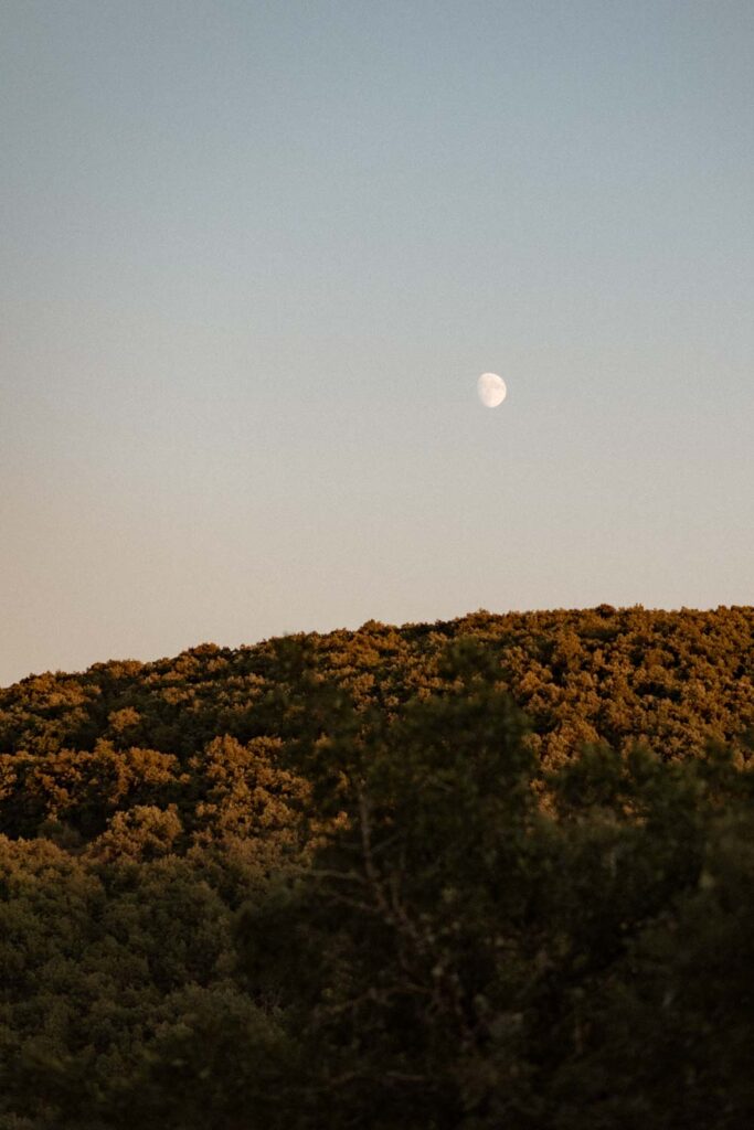 mariage domaine de baldassé saint affrique
