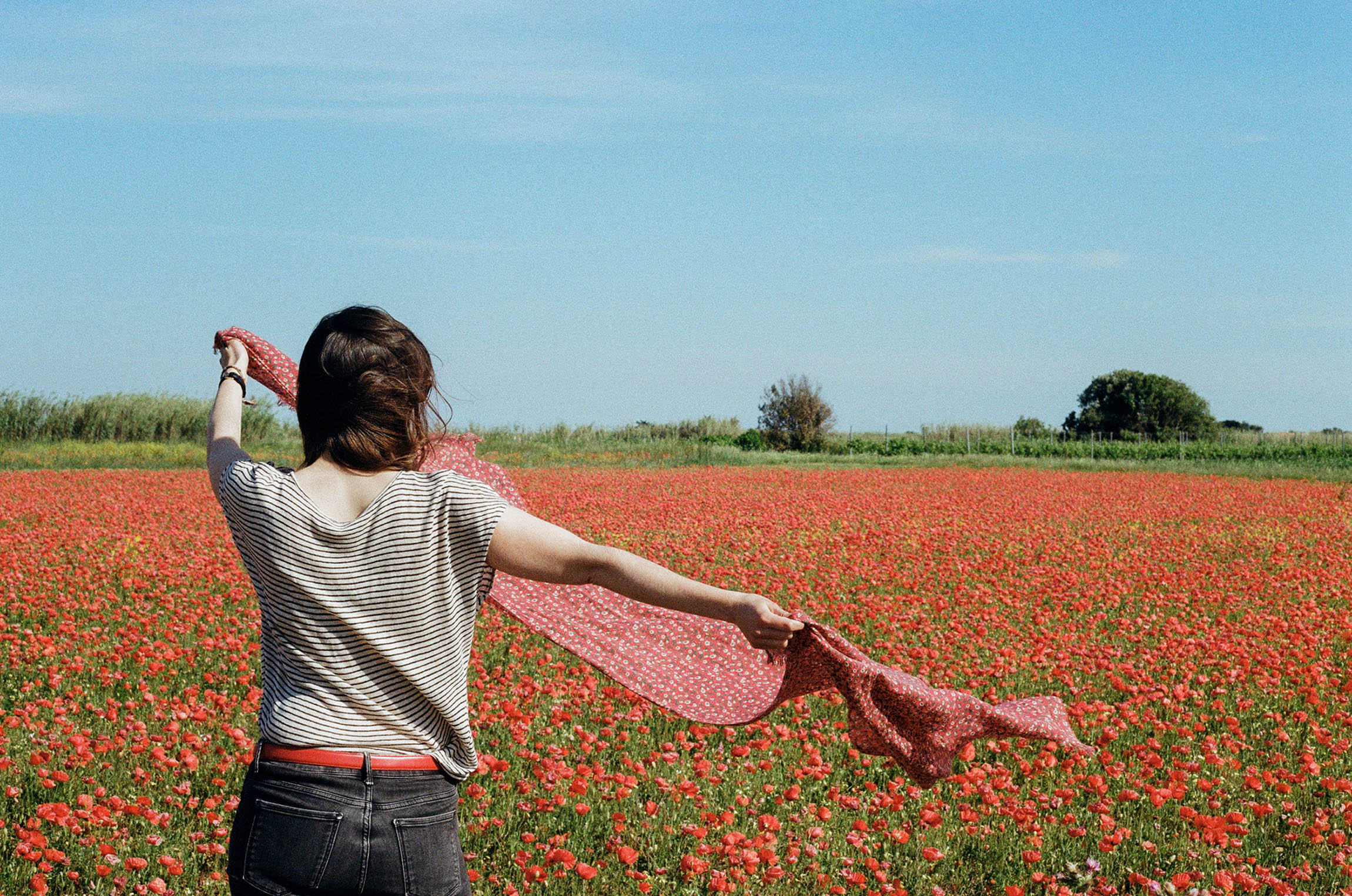 séance photo argentique