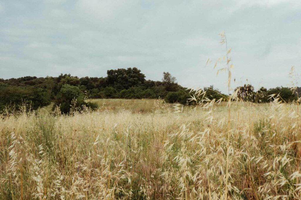 Prieuré Saint Nicolas de Campagnac