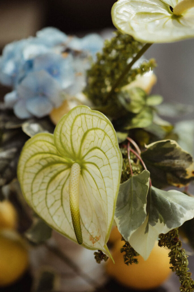 brunch provençal thème mariage