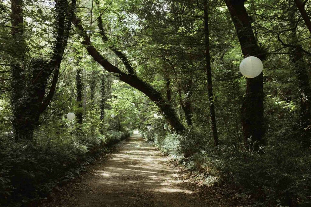 mariage intimiste dans le gard